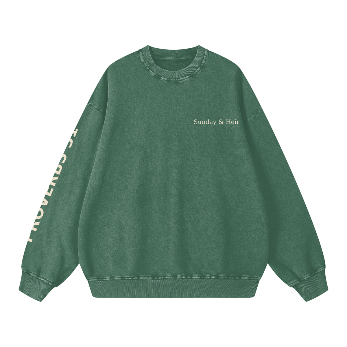 Proverbs 31 Snow Washed Oversized Crewneck