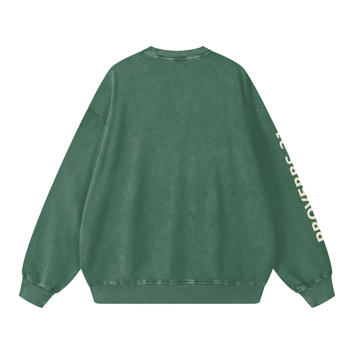 Proverbs 31 Snow Washed Oversized Crewneck